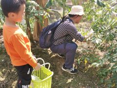 -迪茵湖田家舍生态农场