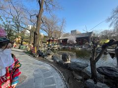 -白家大院·王府宫廷菜(苏州街店)