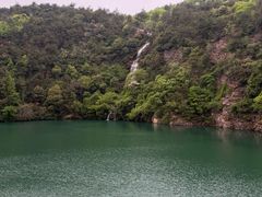 -张鸟园农家乐(张鸟园店)
