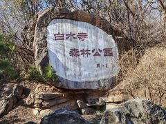 -白水寺森林公园
