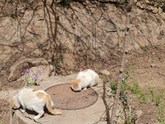 -云峰山自然风景区