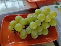 -马陆小张葡萄园农家乐