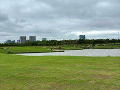 -春花秋色城市公园