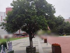 -西安创业咖啡街区