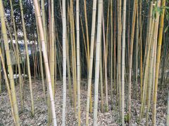 -春兰国宾馆(凤城河风景区老街店)