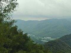 -蔡伦竹海