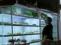 -珍巴奴毛肚牛肉小火锅(四惠店)
