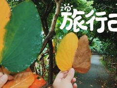 -广州市帽峰山景区