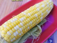 -光明刘冰乳鸽店(光明法政北路店)