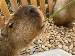 -郑州银基黄帝宫御温泉