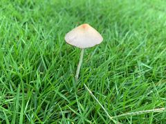 -国际非物质文化遗产博览园