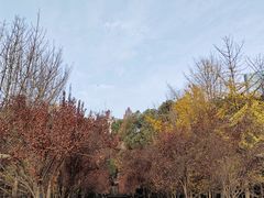 -绵阳人民公园(涪城区)