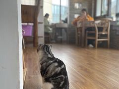 -月迷津渡(吾悦国际店)