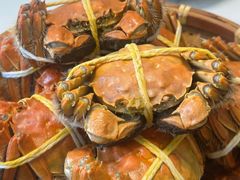 -蟹天蟹地农家菜·阳澄湖大闸蟹(浅水湾店)
