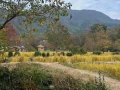 -塔川景区