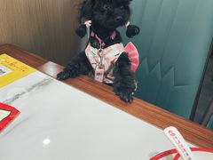 -金陵后厨·南京菜(新街口秣陵路店)