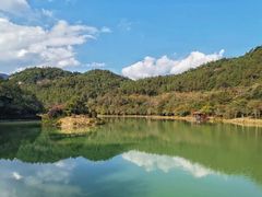 -广州白江湖森林公园