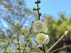 -东湖听涛景区