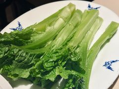 -龙森园火锅(琴台路店)