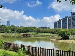 -顺峰山公园