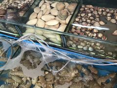 -小铜锣湾海鲜家常菜馆(河西店)