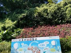 -东部华侨城