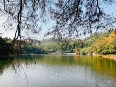 -深圳仙湖植物园