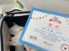 -纳吉亚猫专科动物诊疗中心(蒋宅口分院)