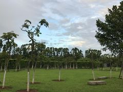 -厦门国家会计学院