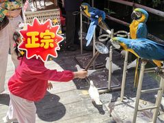 -海南槟榔谷黎苗文化旅游区