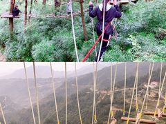 -梦幻奥陶纪景区