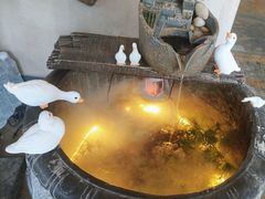 -崂山水果园农家宴(泉水鸡店)