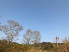 -大青沟风景区