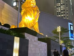 -影汇之星8字形摩天轮