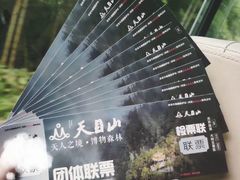 -天目山大树王景区
