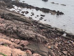 -江山半岛白浪滩景区