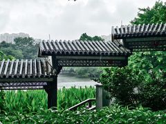 -荔湾湖公园