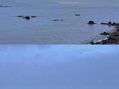 -小麦岛公园