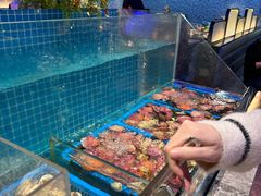 -曼格活海鲜·牛排自助(光明蓝鲸店)