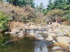 -上海共青森林公园