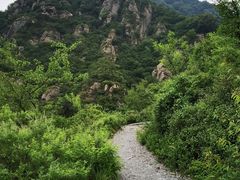 -阳台山自然风景区