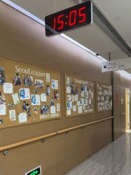 -上海首尔丽格医疗美容医院