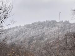 -秦岭风景区