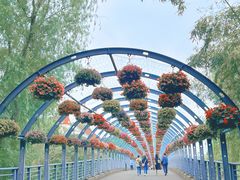 -上海共青森林公园