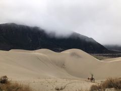 -佛掌沙丘