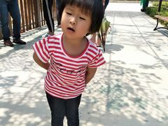 -泉州海丝野生动物世界