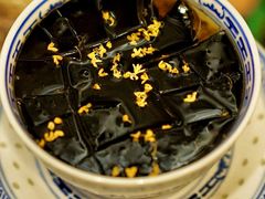 -潘玉麟糖粥
