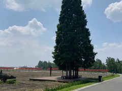 -中国天府农业博览园