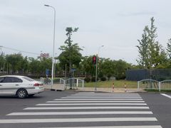 -上海滨江森林公园