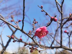 -江苏三台山国家森林公园